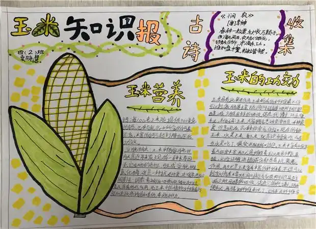 我和玉米有个约会