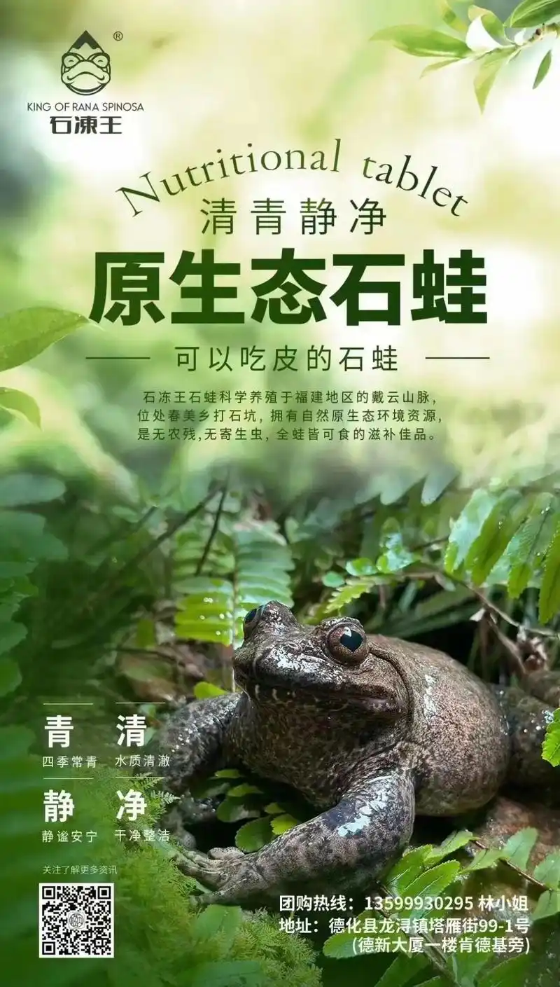 石蛙养殖 石冻王石蛙"山泉水中的活人叁"#滋补养生 #增强 - 抖音