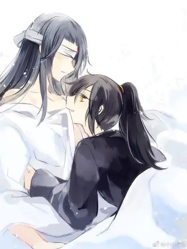 魔道祖师 晓星尘&薛洋