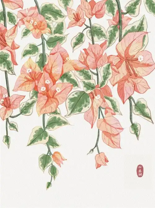 水彩花卉三角梅09附过程大图