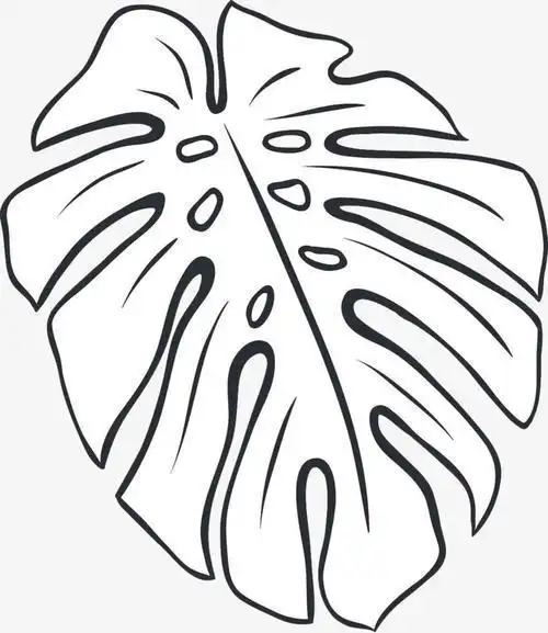 芭蕉树树叶简笔画