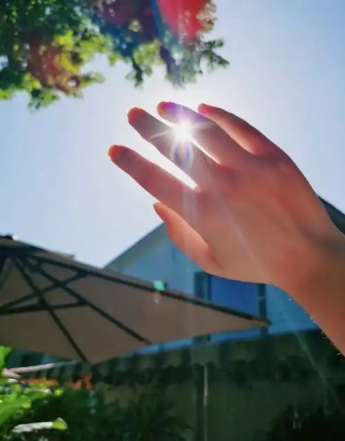 阳光透过手指唯美图片