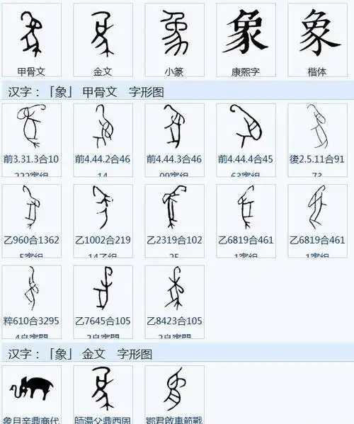 印度拿中国象棋申遗6次未遂,中国象棋真的是起源于印度?