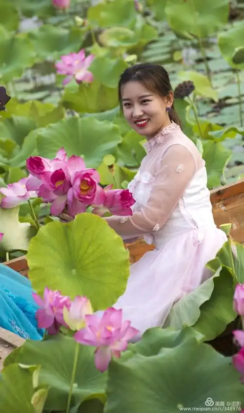 荷花人像——孪生姐妹花