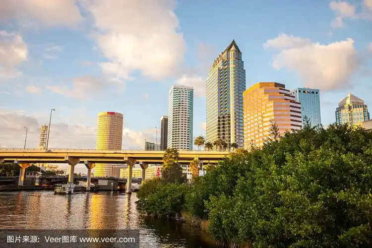 美国佛罗里达州坦帕市中心的摩天大楼