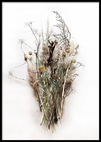 dried bouquet no1 poster in the group prints / floral at desenio