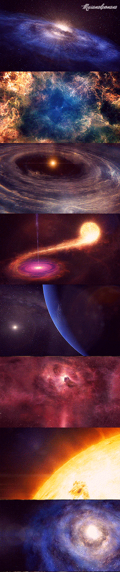 245_1168竖版 竖屏gif 动态图 动图