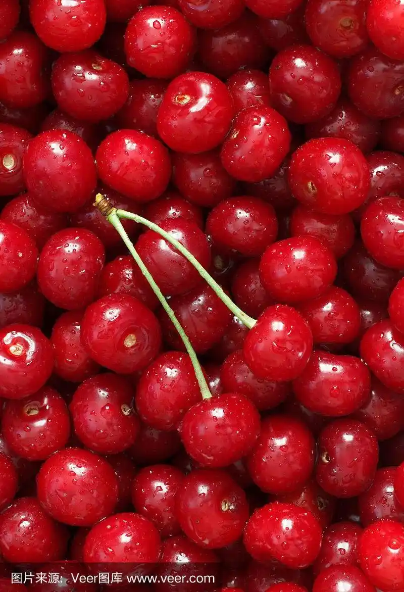 清新,樱桃,红色,大量物体,自然