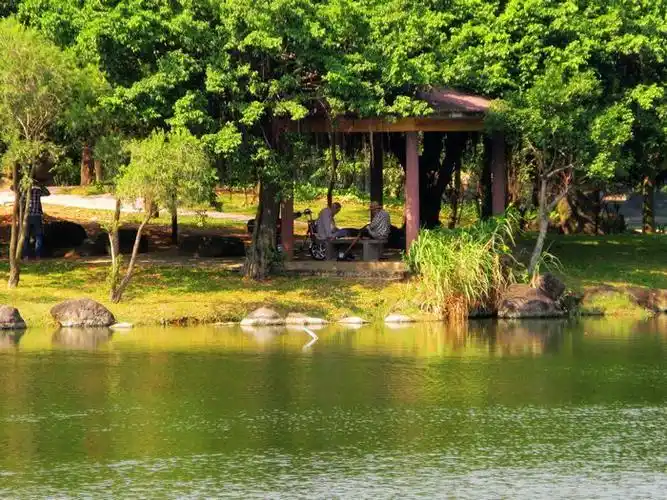 p data-id="gnx4odpr90">霞湖公园位于广东省湛江市 a target="