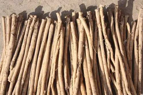 水里放点黄芪泡着喝,养肝补气还抗衰!医生:这类人越喝越严重