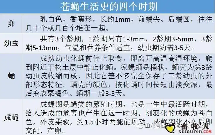 苍蝇的危害及防控措施