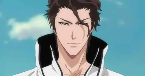 死神人物传记之前五番队队长后虚圈老大现阶下囚蓝染惣右介