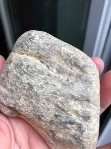 黑龙江天然大叶草花玉化石桫椤玉原石手把件雕刻料摆件186克