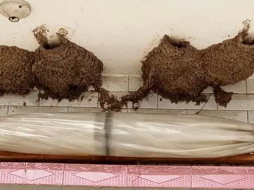 最美人间四月天――陌上花开作品 - 美篇