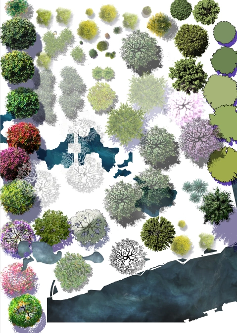 园林彩平素材 自己整理的 中国人不骗中国人