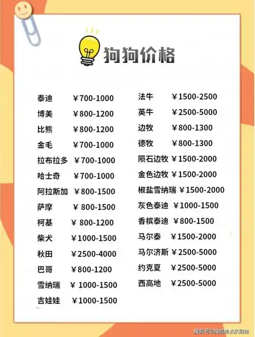 泸州江阳区哪里有卖银渐层猫的地方?