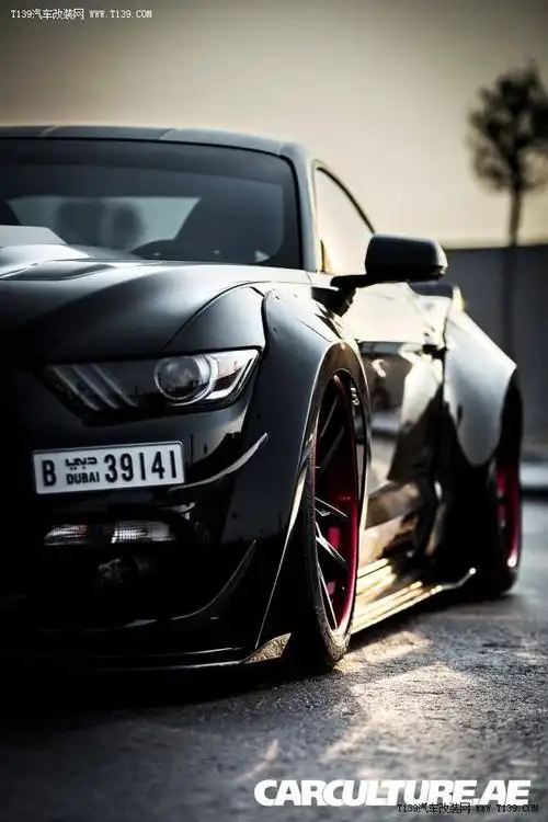 福特野马丨5.0l纯正的老美肌肉车