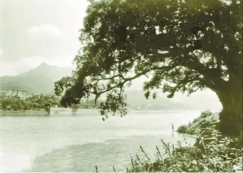 原来,三明城曾经是这个模样!我们的记忆啊,看着看着……不禁泪目