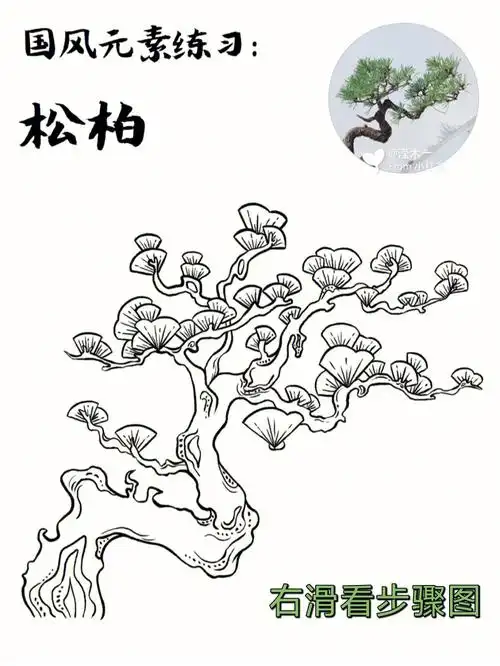 国风线稿练习87松柏