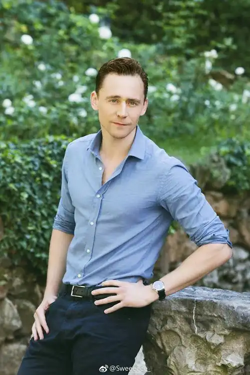 汤姆希德勒斯顿抖森/糖豆