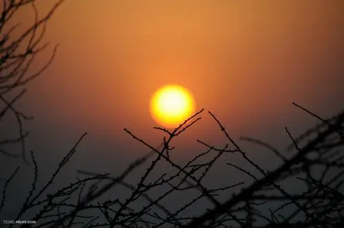 天亮了,黎明的太阳似黄昏.