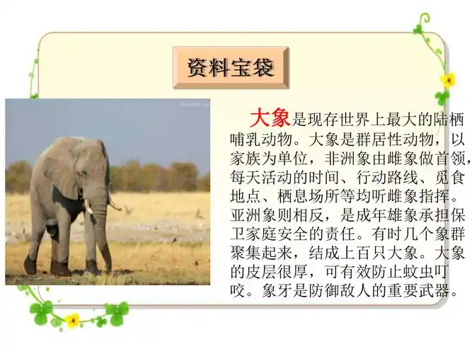 三年级下册语文课件精彩的大象表演湘教版共21张ppt