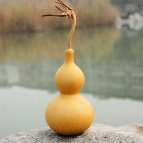 t宝胡天然娃儿挂件精品小葫芦玩具风水招财彩绘葫芦童保平安