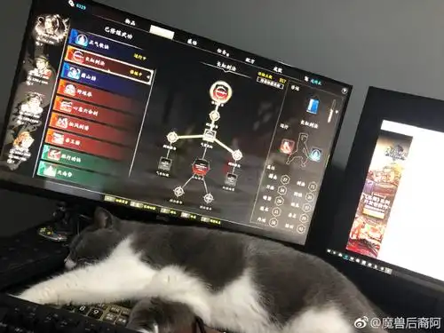 魔兽后裔:挥洒汗水尽情演绎lol直播时代