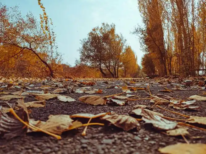 秋天天气变凉了心也凉了怎么办