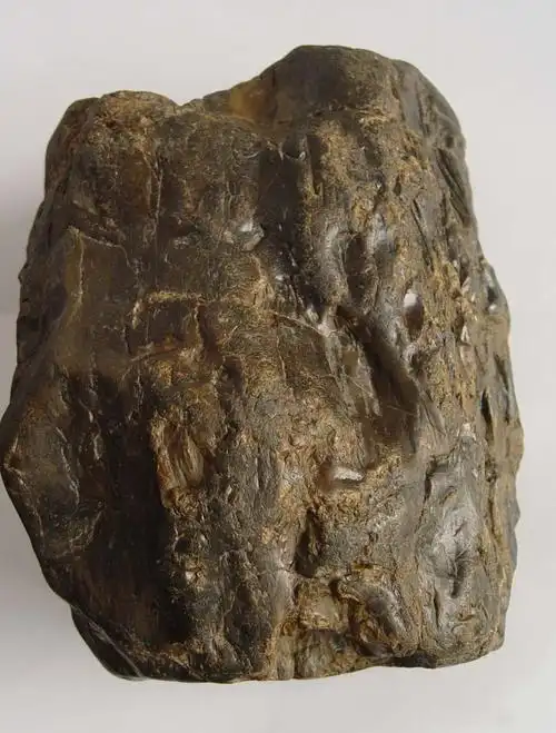 硅化木产地有哪些硅化木产地及其特征价格品种介绍评价