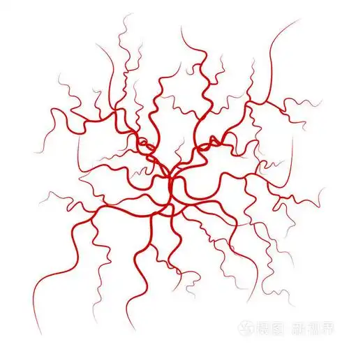 插画 人体血液脉向量.红血容器设计.孤立在白色背景上的插图.eps