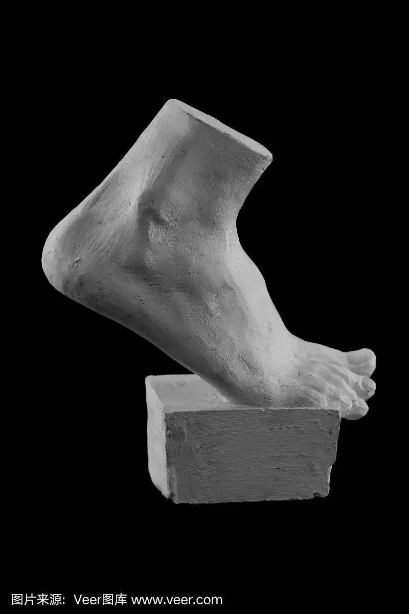 石膏四肢脚脚与手指,身体部分