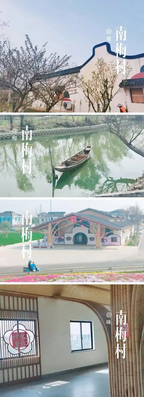 西塘国旅芝樱花海共迎春王店南梅村粮仓城市客厅一日