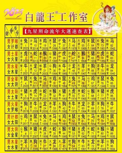 2023年九星照命对照表-白龙王许少锋工作室