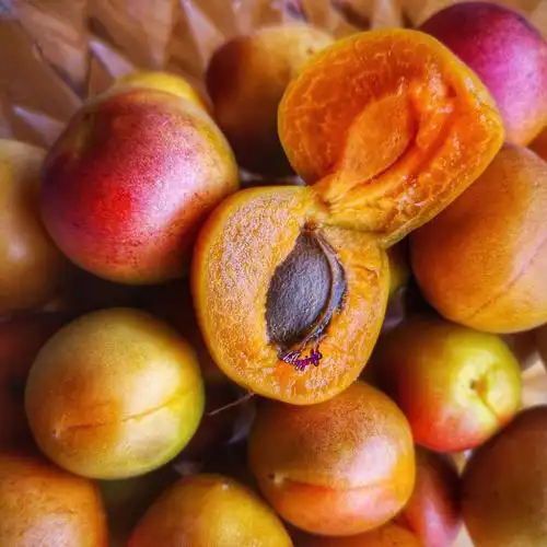 甜杏(手机原创摄影作品)