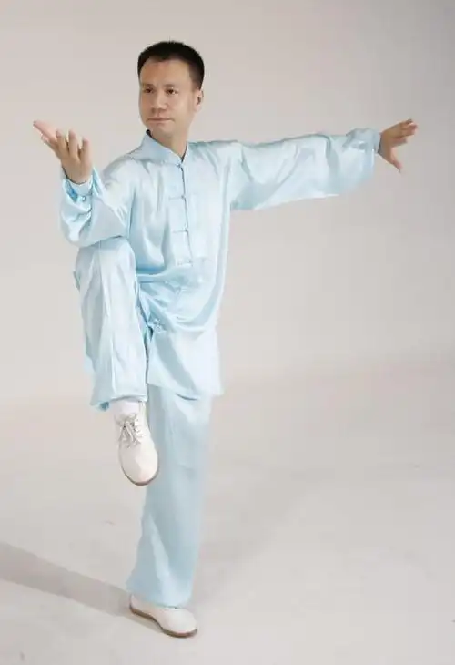 世界冠军太极王子陈思坦先生莅临湘潭教学