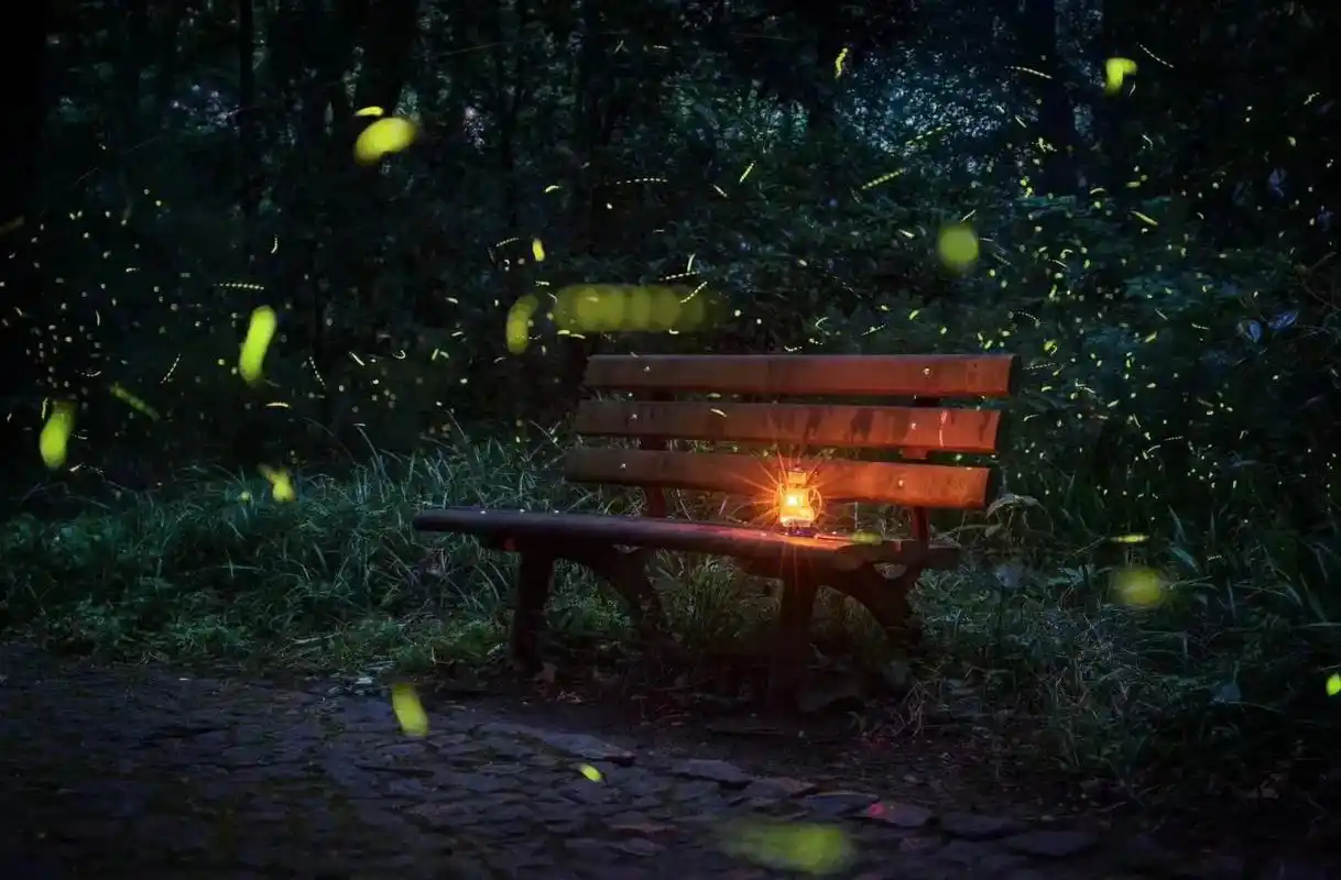 你和萤火虫有两个共同点:在我眼里都会发光,同时,都已经很多年 - 抖音