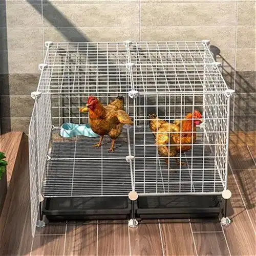 清粪自动鸡棚屋鸡笼鸡养巧殖大笼子大鸡慕号笼子