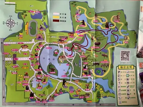 上海野生动物园一日游