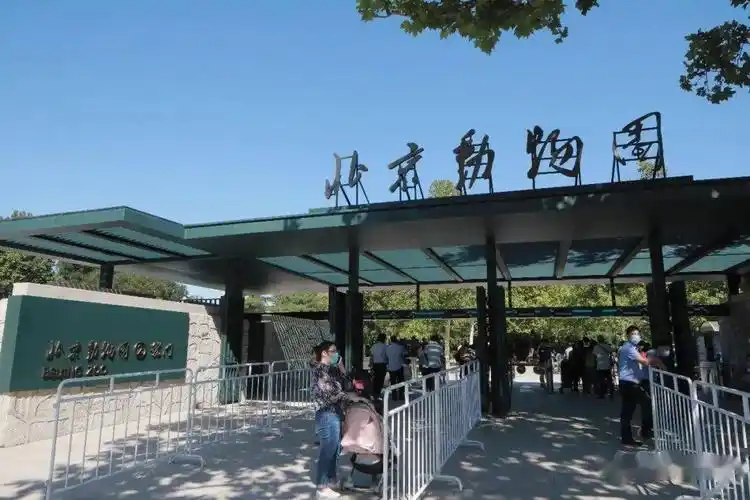 北京动物园"拍了拍"你来认认门_大门