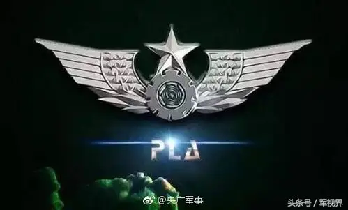 看看这些部队专属的胸标你认识嘛