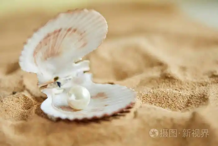 在海滩上开的贝壳珍珠