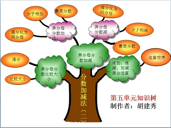 五年级下册数学第五单元知识树及设计理由