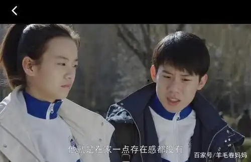 电视剧《小欢喜》