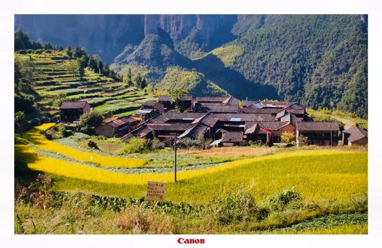 穿着小皮鞋和裙子误打误撞爬了公盂,废掉了半条命,拍到照片后还 - 抖