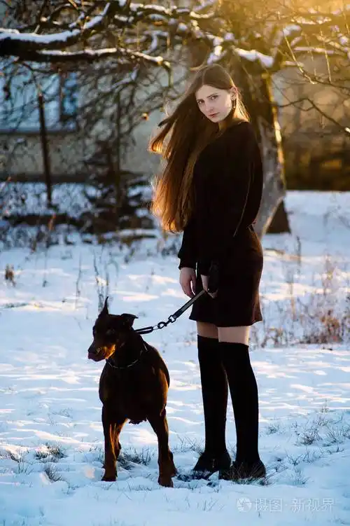 年轻美丽的女孩走在冬季公园与她的狗杜宾犬品种