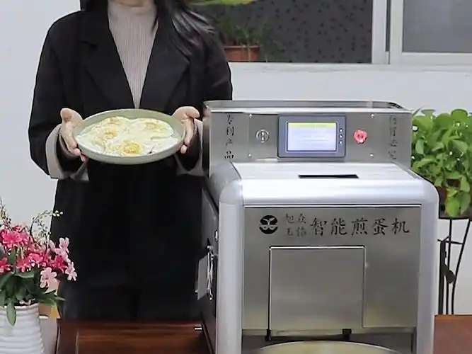 小型自动煎蛋机