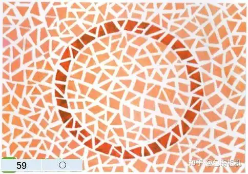 色盲检测图第五版驾考体检征兵专用