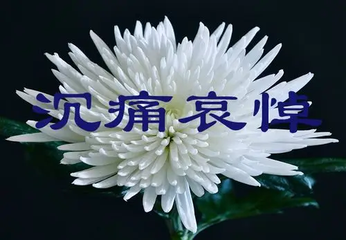 沉痛悼念好友苏荣莲