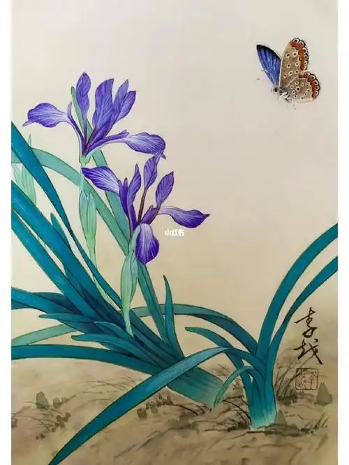 工笔画马兰花蝴蝶